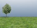 Tree scene-02d.jpg