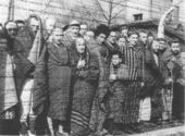 Auschwitz1945.jpg