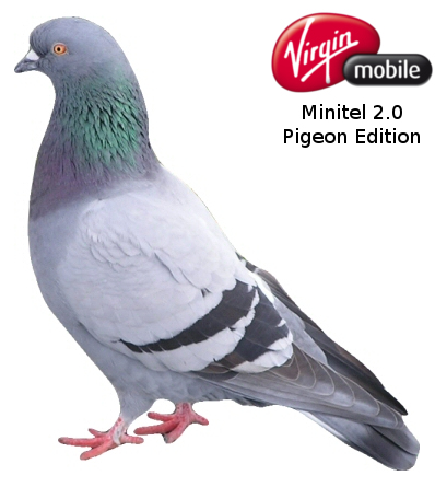 minitel_pigeon