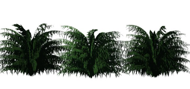File:Greenhouse-palm-cycas.jpg