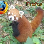 Firefox, petit panda rouge1@Libres-Ailé(e)s, CC-By-SA