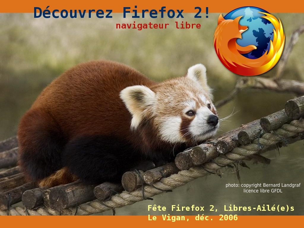 Firefox, Petit panda rouge3@Libres-Ailé(e)s, CC-By-SA