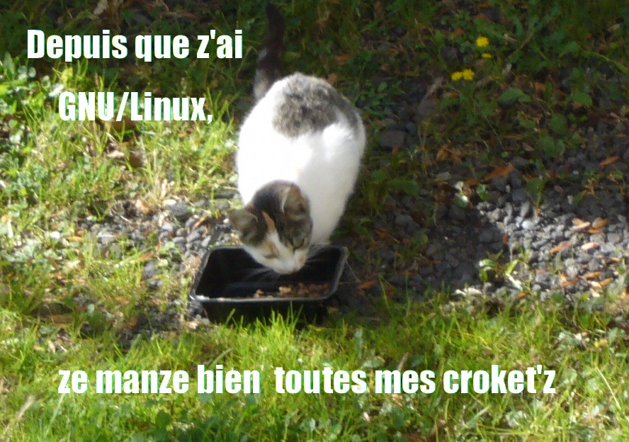 GNU/Linux, lolliz, croquettes